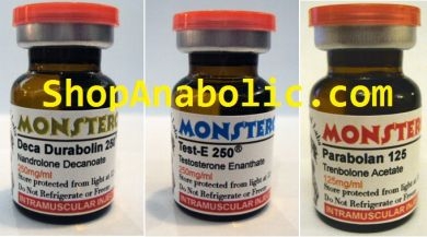 Buy Intermediate Steroid Stack 3 with PayPal